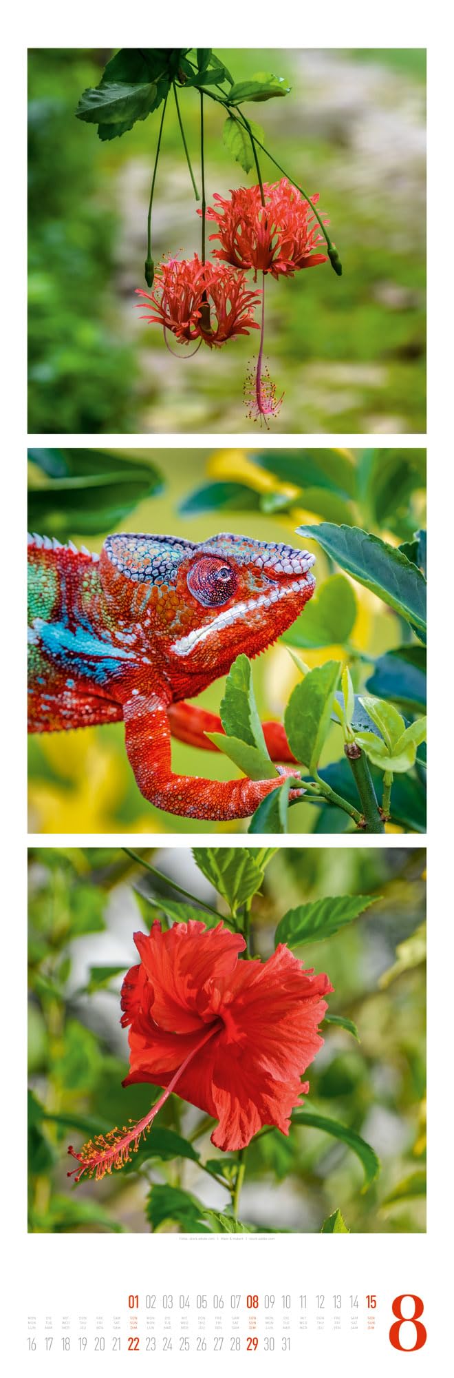 Nature Triplet-Kalender 2027 | Stilvoller Natur-Kalender im schlanken Hochformat (33x100 cm) | Triplet-Fotografie im Premium-Format