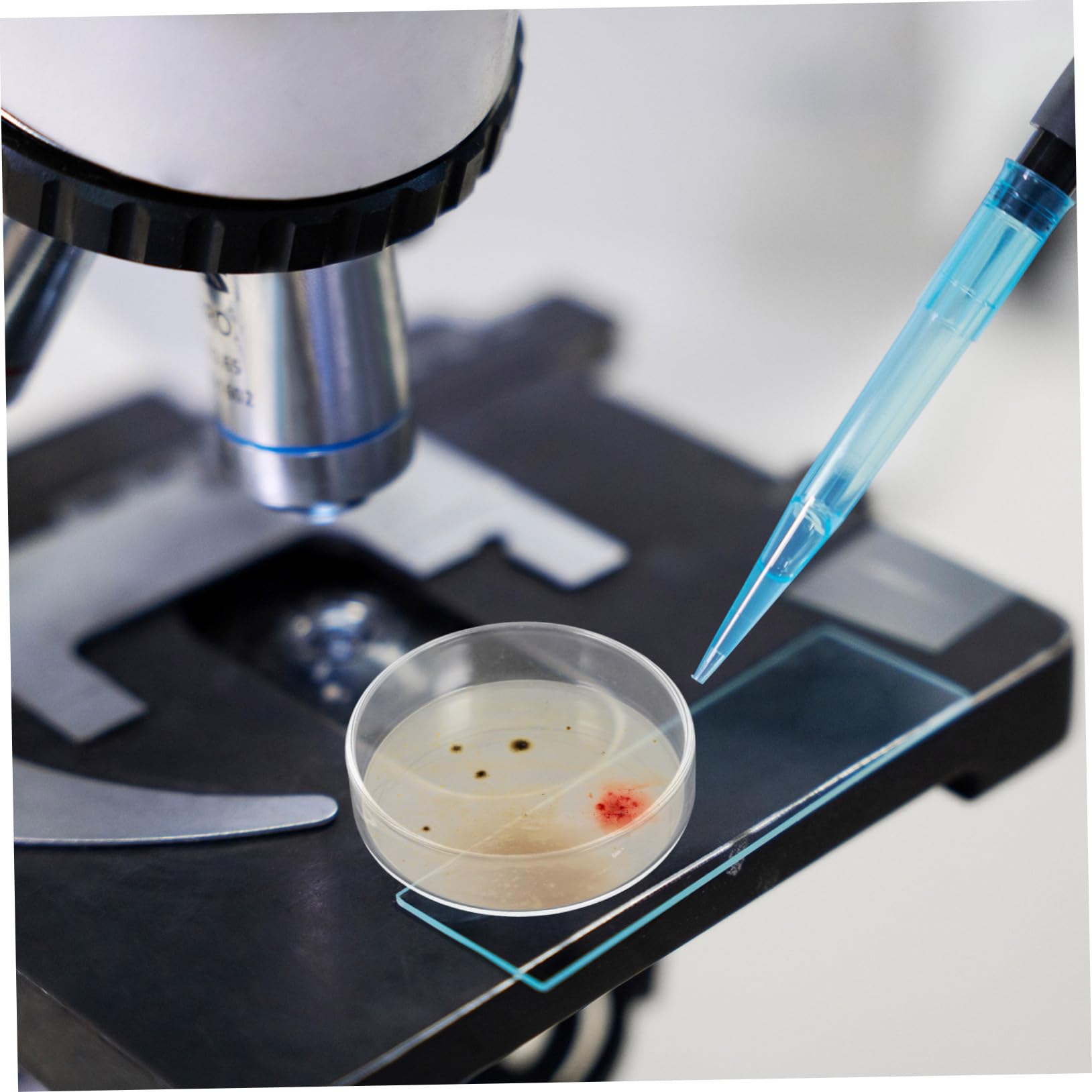 10piezas Placa de Petri de Vidrio Experimental Placa de Cultivo de Laboratorio para Microbiológico Recipiente con Tapa para Cultivo de Herramienta de Ciencia para Uso Laboratorio