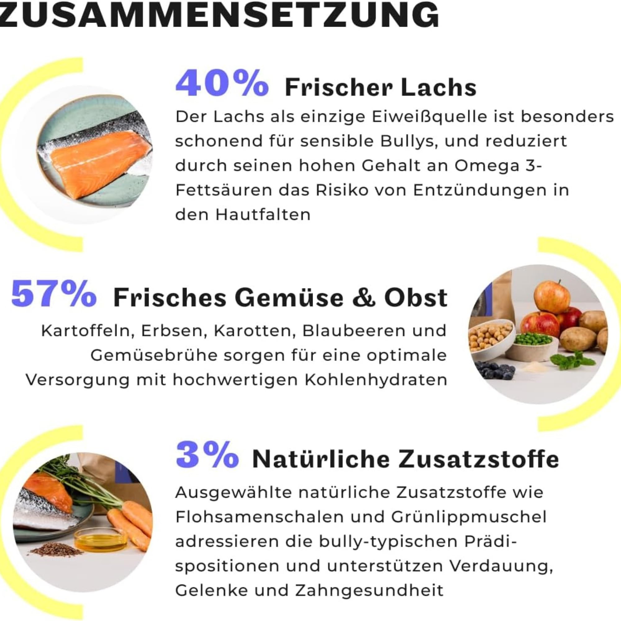 HEY HOLY Premium Nassfutter für Bulldoggen | 6X 750g Hundefutter für ausgewachsene Bulldoggen mit Lachs | Hochverträglich aus natürlichen Zutaten