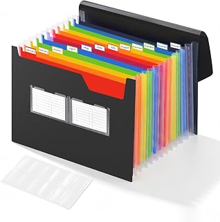 Portable Expanding File Folder, 13 Pockets Accordion File Organizer with Lid and Rainbow Color Tabs, Customizable Labels, Button and Elastic Closure, A4 Document Holder for Home, Office and School