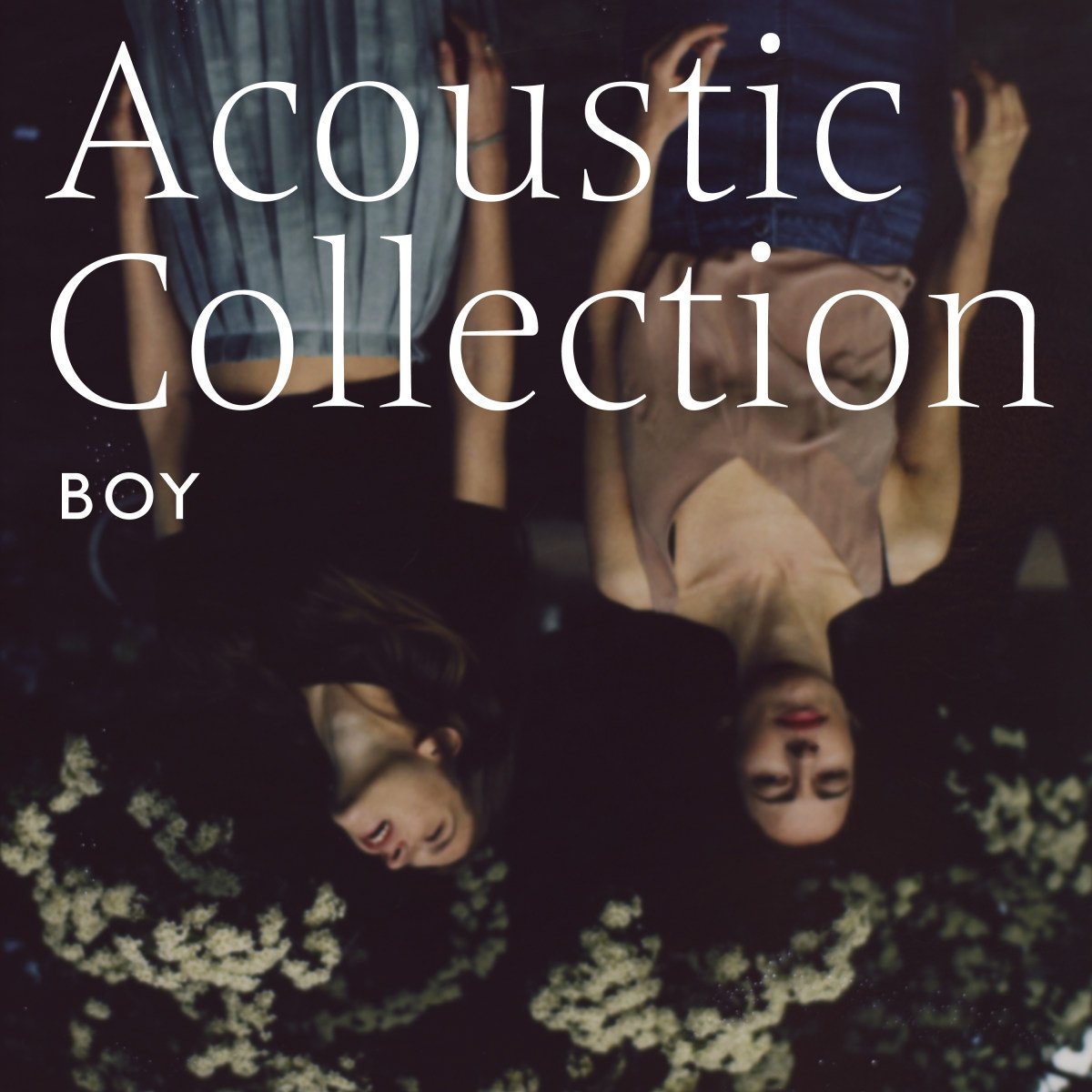 Boy Acoustic Collection LP Vinyl NEW