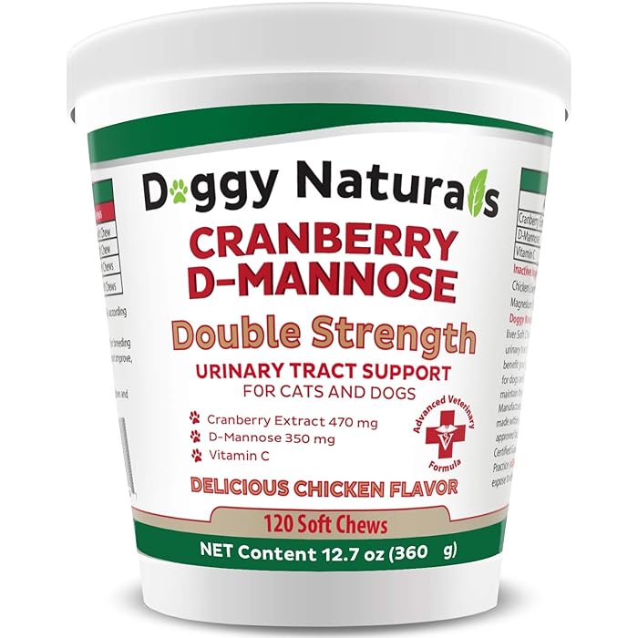 Buy Cranberry DMannose for Dogs and Cats Dog UTI Treatment Bladder Support Dog UTI