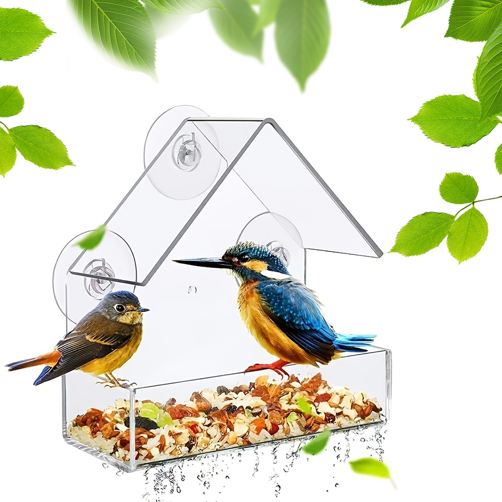 Window Bird Feeder for Outside, Small Acrylic Bird Feeder with 2 Rods, Strong Suction Cups, and Drain Holes