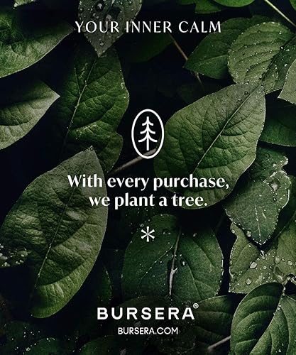 Miniatura 4 de Bursera Vulcan - Cuenco de cerámica, árbol plantado con cada pedido, cuenco para quemaduras para salvia, madera de Palo Santo, forma para velas,