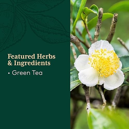 Miniatura 4 de Gaia Herbs Pro Green Tea - Suplemento de hierbas de té verde para la salud del corazón - con hoja de té verde orgánico y extracto - 60 fito-cápsulas
