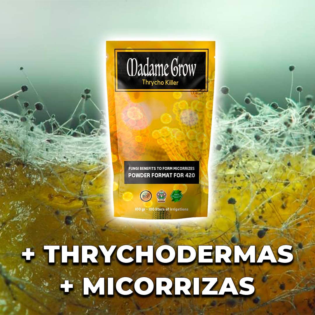 MADAME GROW WURZELWACHSTUM Pack