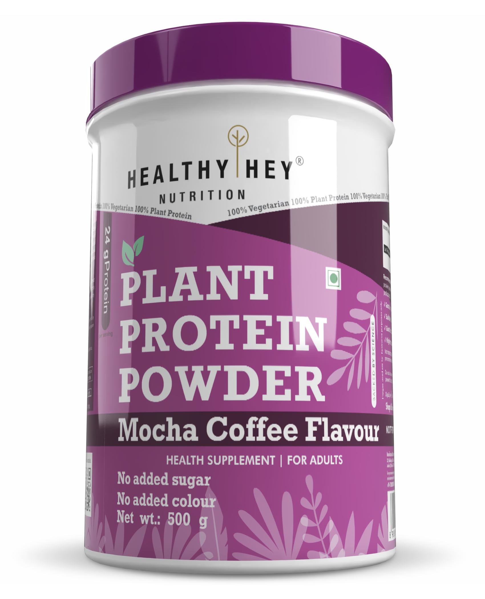 HealthyHey Nutrition Plant Protein Powder, Protein, Low Net Carbs, Non Dairy, Gluten Free, Lactose Free, No Sugar Added, Soy Free, Non-GMO - 500gm (Mocha Coffee)