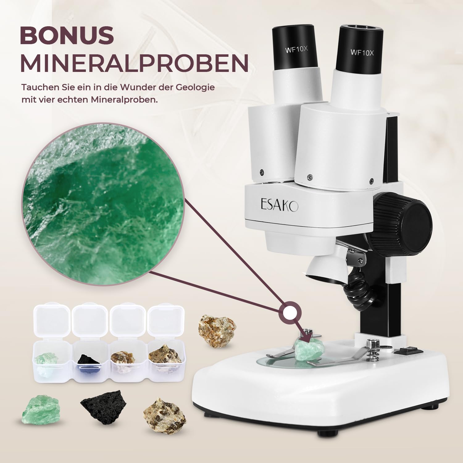 Dual-LED-Kindermikroskop - Wissenschaftsset mit 10 vorbereiteten Objektträgern und 10 leeren DIY-Objektträgern, Mineral- und Insektenproben, Mikroskop-Set für Kinder