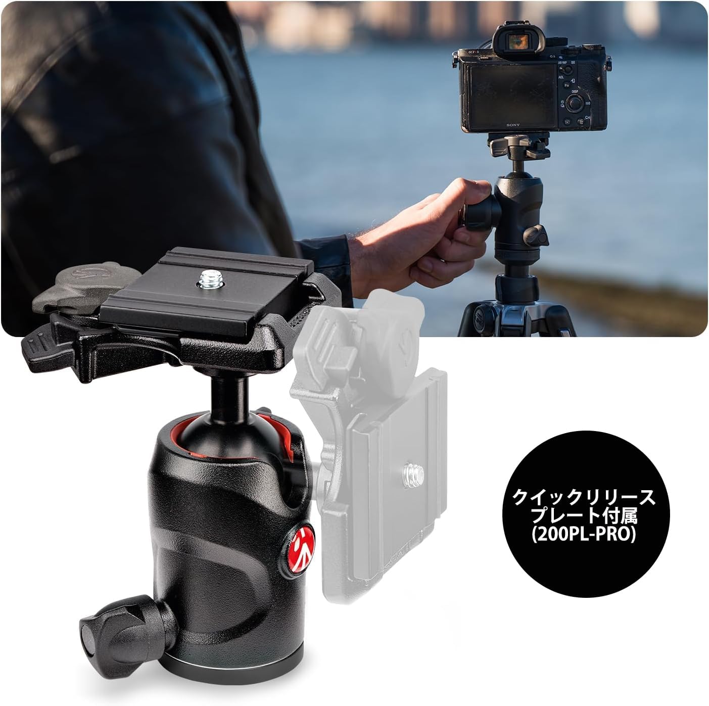 Befree Advanced Carbon T-Tripod Kit, Smartphone Clamp Included, 4 Levels, Twist Lock, Maximum Height 59.1 inches (150 cm), Storage Height 16.1 inches (41 cm), Weight 2.8 lbs (1.25 kg), Load Capacity: