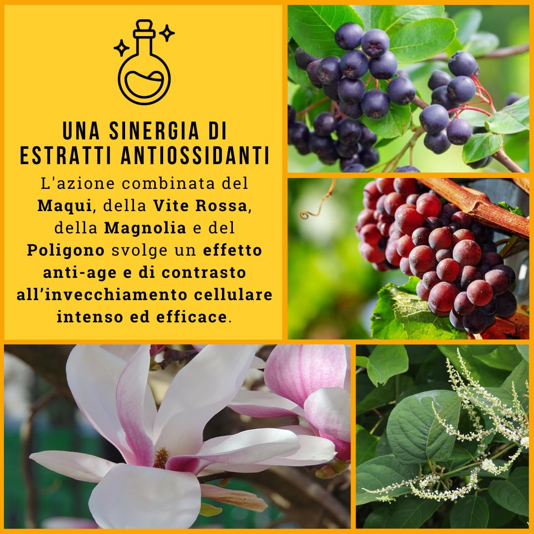 Integratore Antiossidante, Antirughe e Antiage con Polifenoli, Resveratrolo, Maqui, Vite Rossa, Magnolia e Polidatina - Contro Radicali Liberi e Stress Ossidativo - Per Longevità - Elisir Power