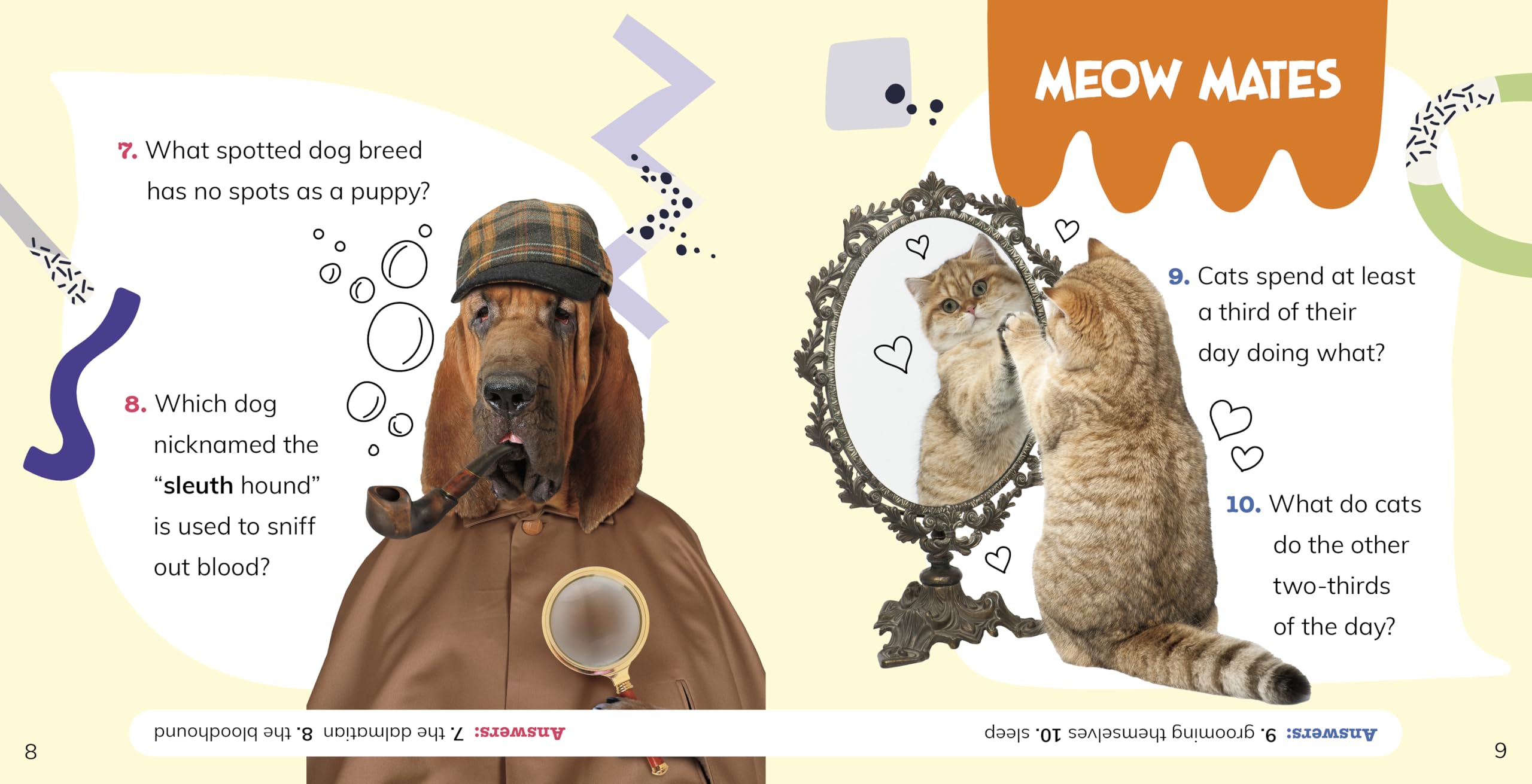 What Do You Know about Pets?