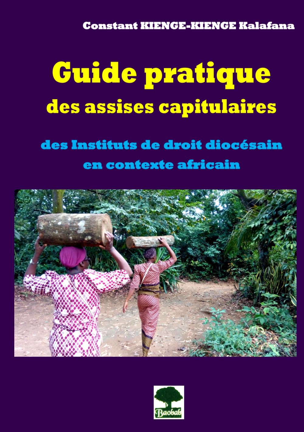 Guide pratique des assises capitulaires: des Instituts de droit diocésain en contexte africain