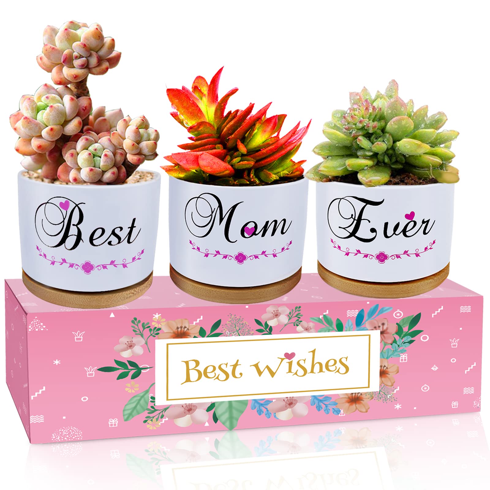 Gifts for Mom, Mom Gifts, Birthday Gifts for Mom, Best Mom Ever Gifts, Ceramic Succulent Pots Set for Plant Indoor