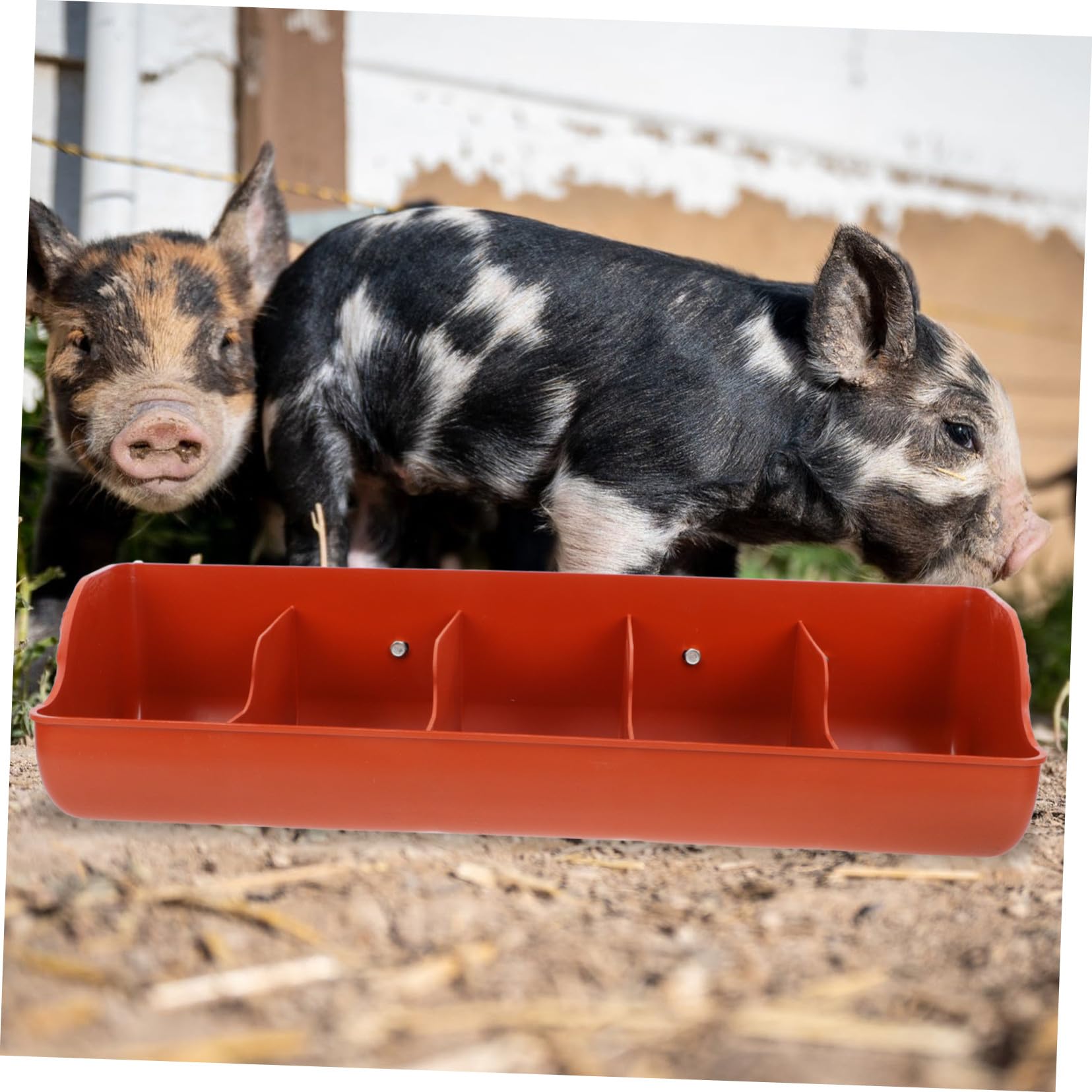 Mangiatoia per Suini in Plastica a 5 Scomparti Marrone Pp | Capienza Ampia, Alta Resistenza All'usura, Smontaggio Semplice, Uso in Fattoria per Altri Animali da Allevamento