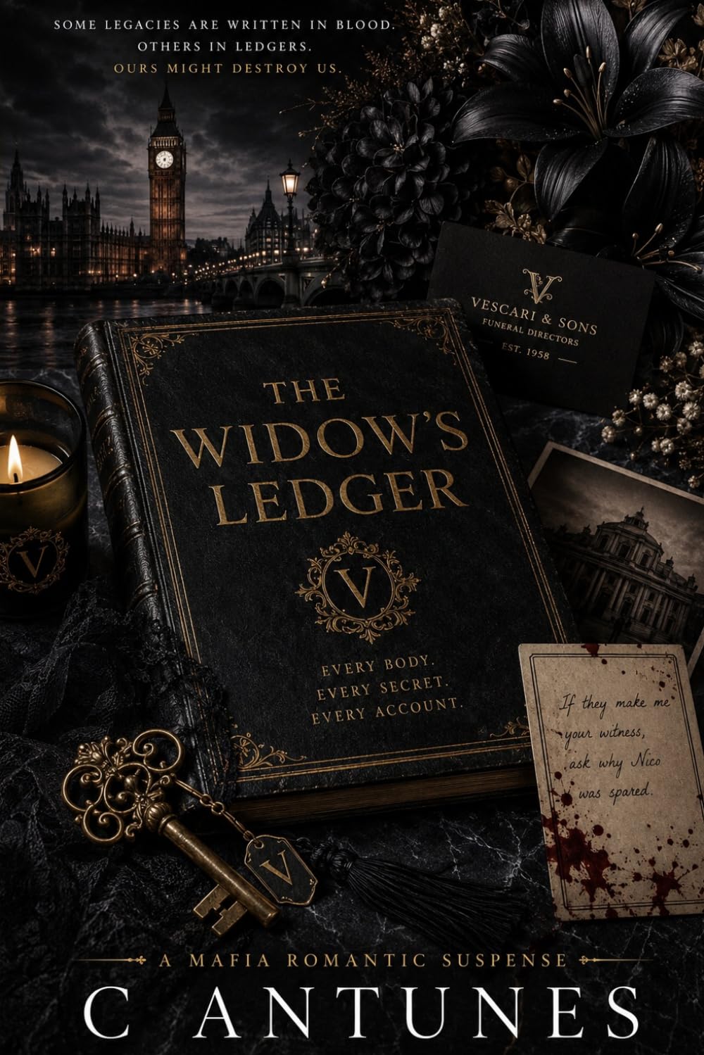 THE WIDOW’S LEDGER: The Old Houses Series: Book One