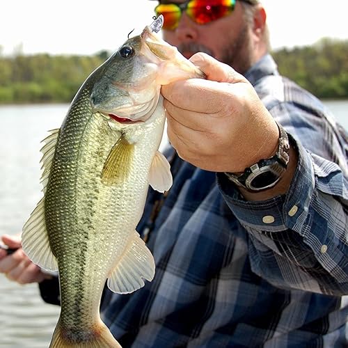 Miniatura 9 de Swimbait Jig Head Jig Head Flats Jig Head Bait Spin Head Jigs - Cabeza de pez realista, 5 unidades