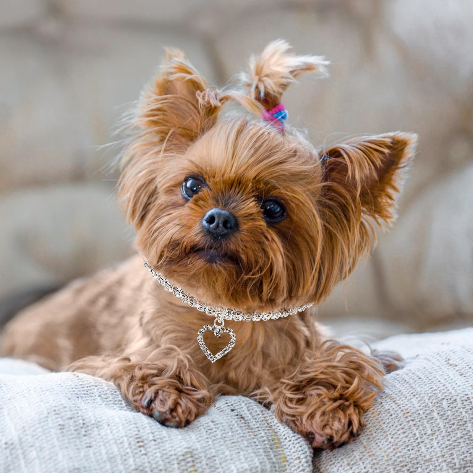 Collare per Cani Cuccioli con Pietre Decorative Elastiche Bianche con Ciondolo a Forma di Cuore Facile da Mettere e Protezione per Collo del Cane