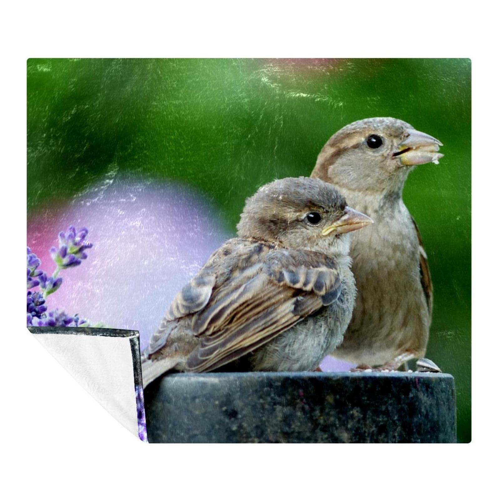 Couverture polaire légère Grey Sparrows plaid anti-froid microfibre