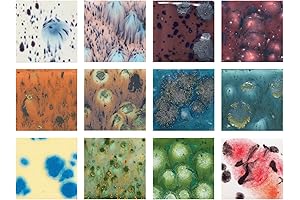 Sax Crystal Magic Glazes: Unleash Your Artistic Magic