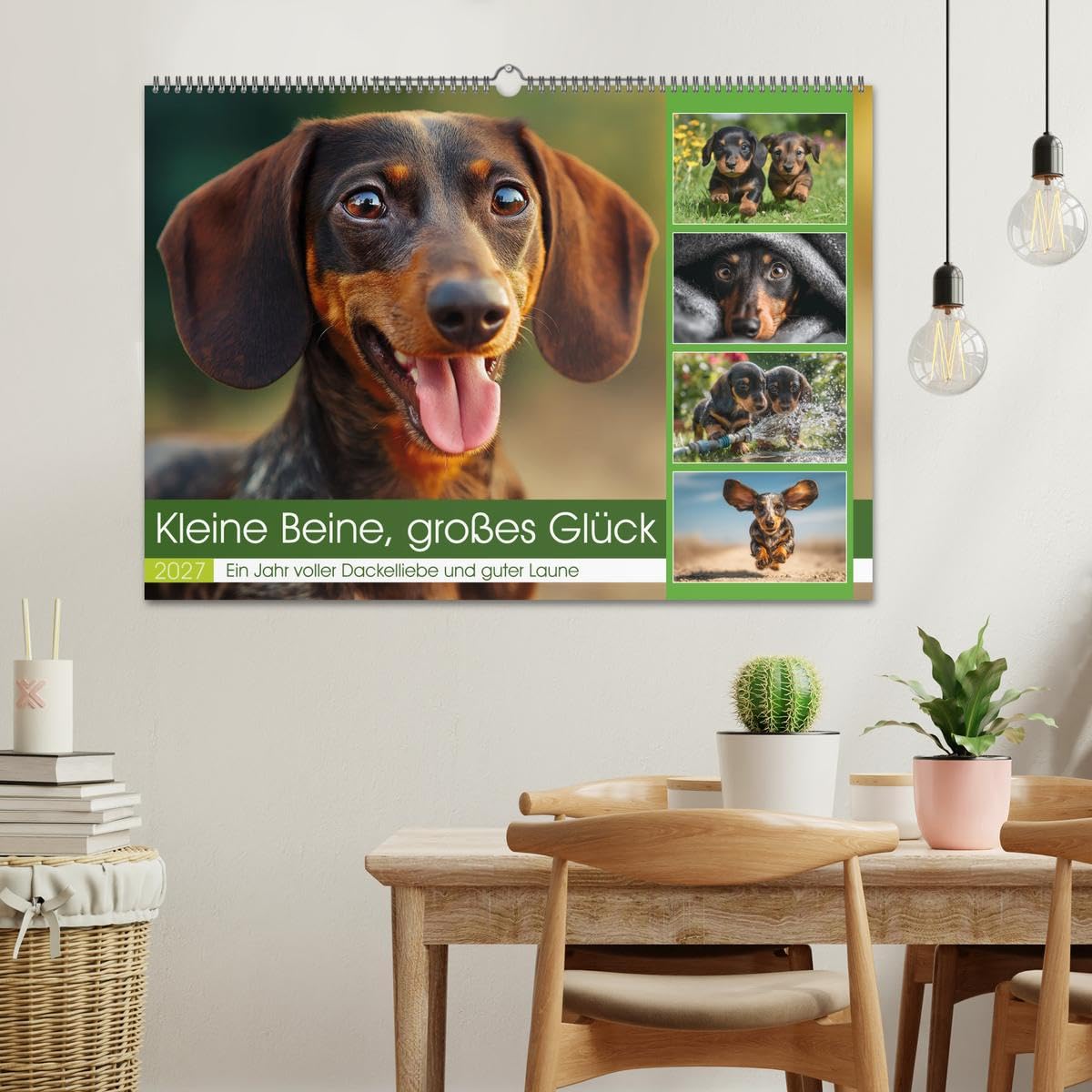 Kleine Beine, großes Glück (Wandkalender 2027 DIN A2 quer), CALVENDO Monatskalender: Dieser Dackelkalender begleitet dich mit 12 Monaten voller ... und herzerwärmender Momente. (CALVENDO Tiere)