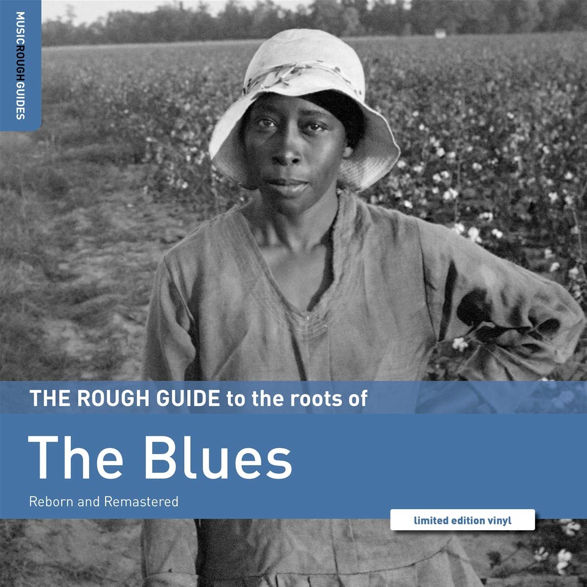 The Rough Guide to the Roots of the Blues (LP) [VINYL]