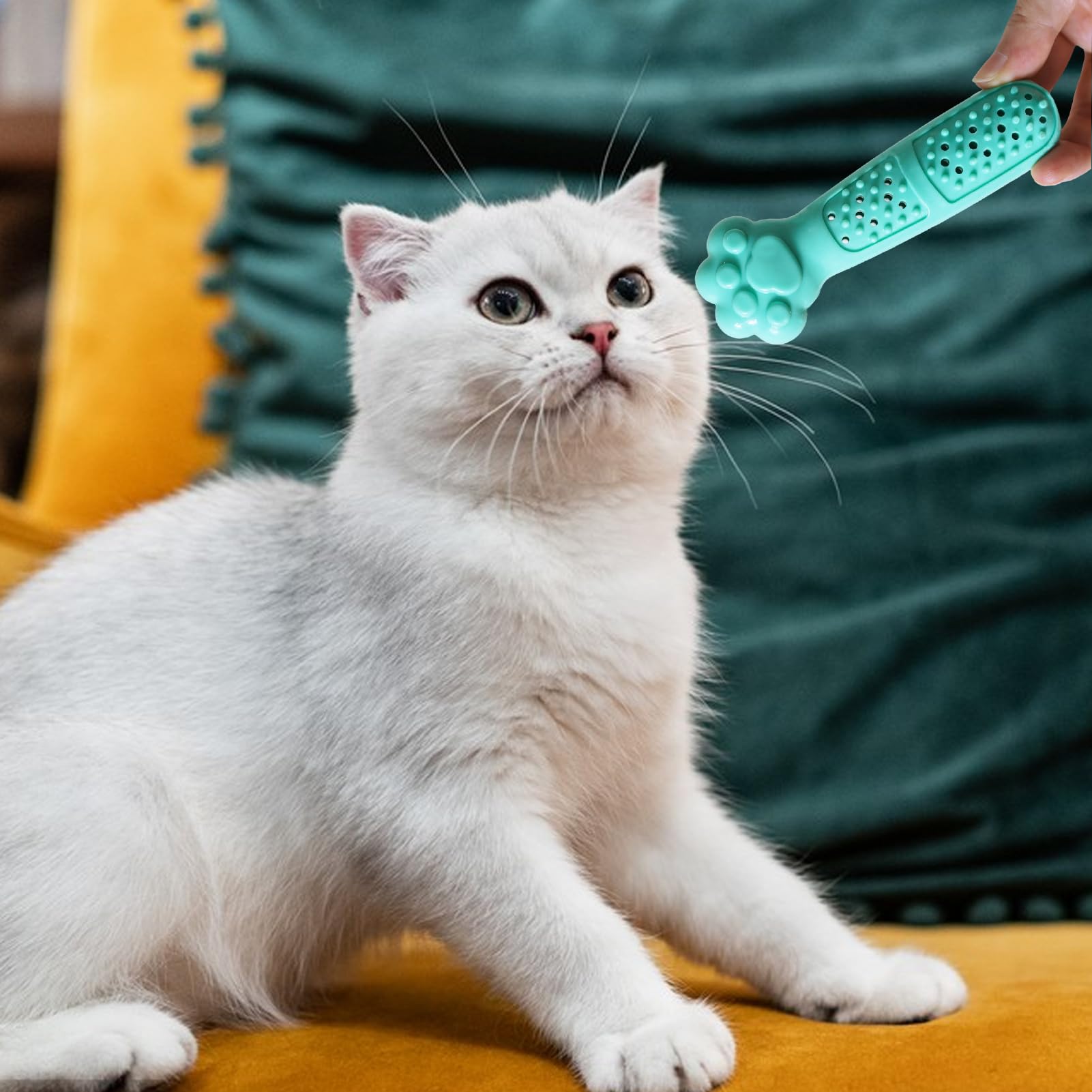 Generico Giocattolo da masticare con gatta per gatti, Giocattolo da