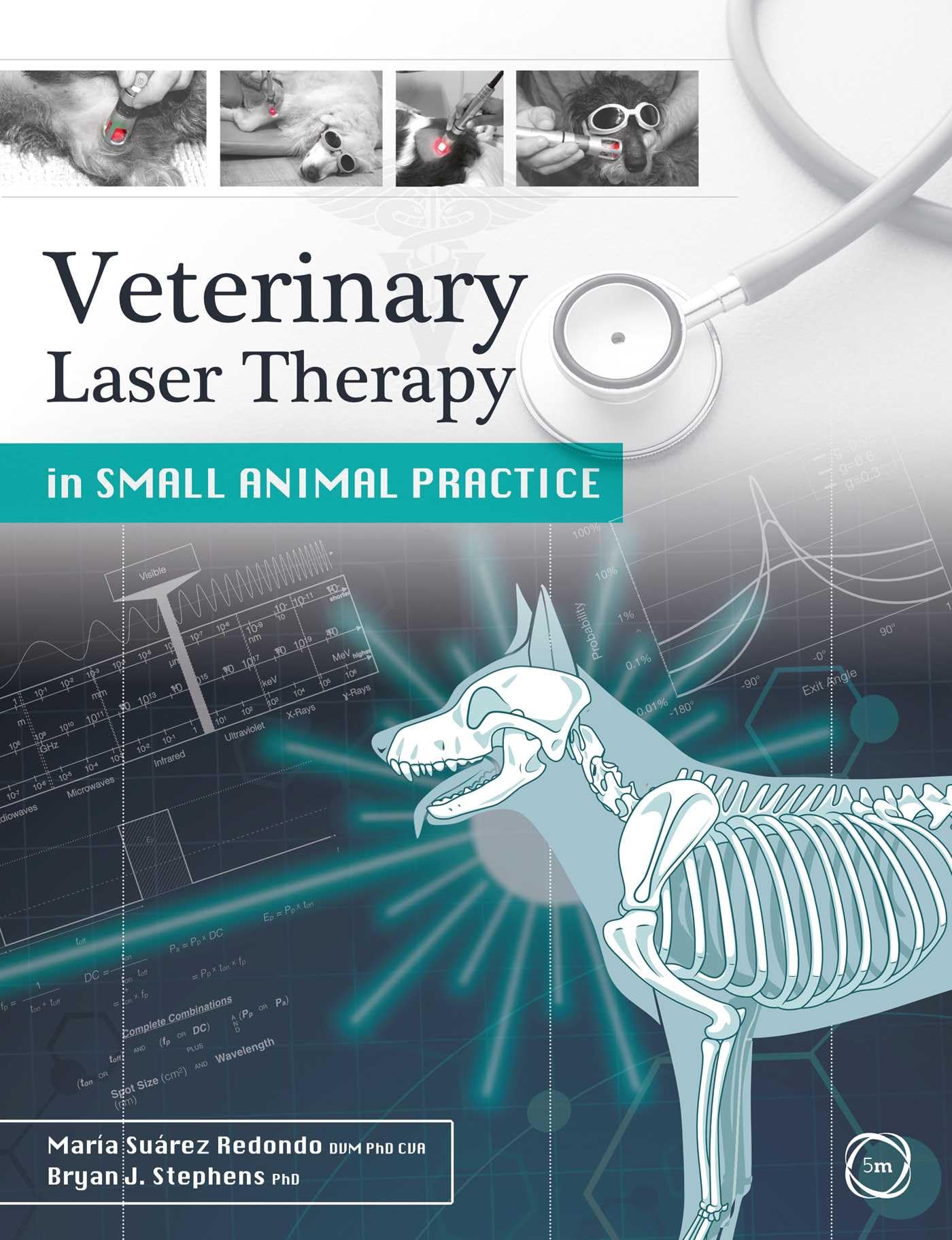 Veterinary Laser Therapy in Small Animal  by Maria Suarez Redondo PAPERBACK