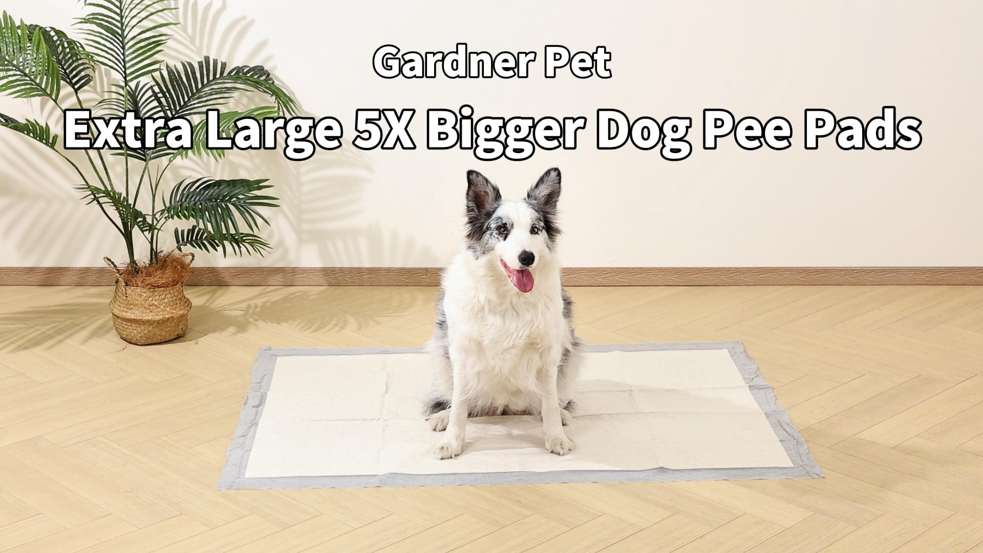 Flying Paws Trainingsonderleggers, wegwerp-puppyonderleggers, super absorberend en lekvrij, actieve kool honden, pipi-matten, puppypads voor training, 60 x 90 cm, XL-50 stuks