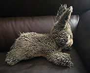 Review Image by Maureen Maureen