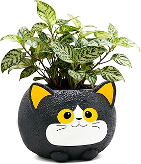 Whimsical Black Cat Face Planter, Cute Plant Pots for Indoor Outdoor Pla...