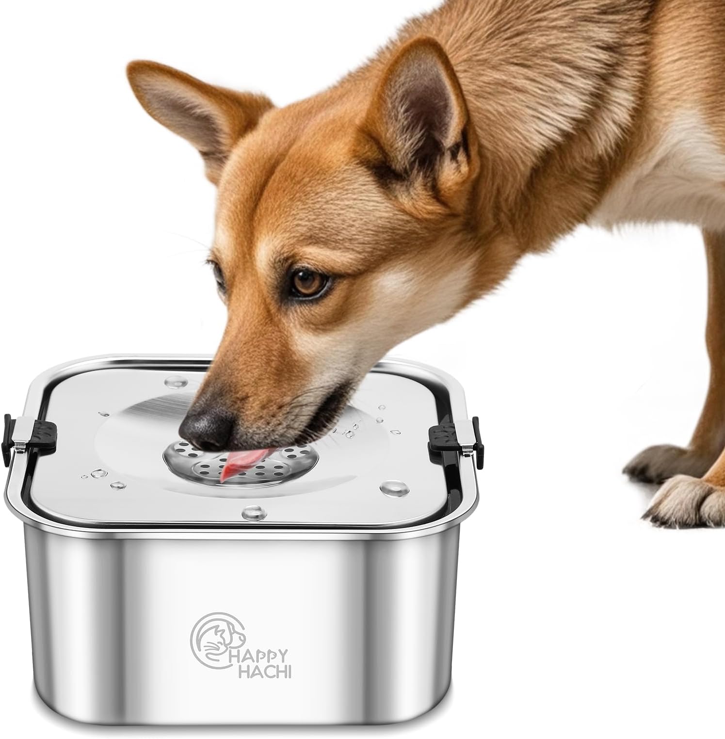 Ciotole per Cani in Ceramica Rialzate - Set con Supporto in Bambù - Doppia Ciotola Rialzata per