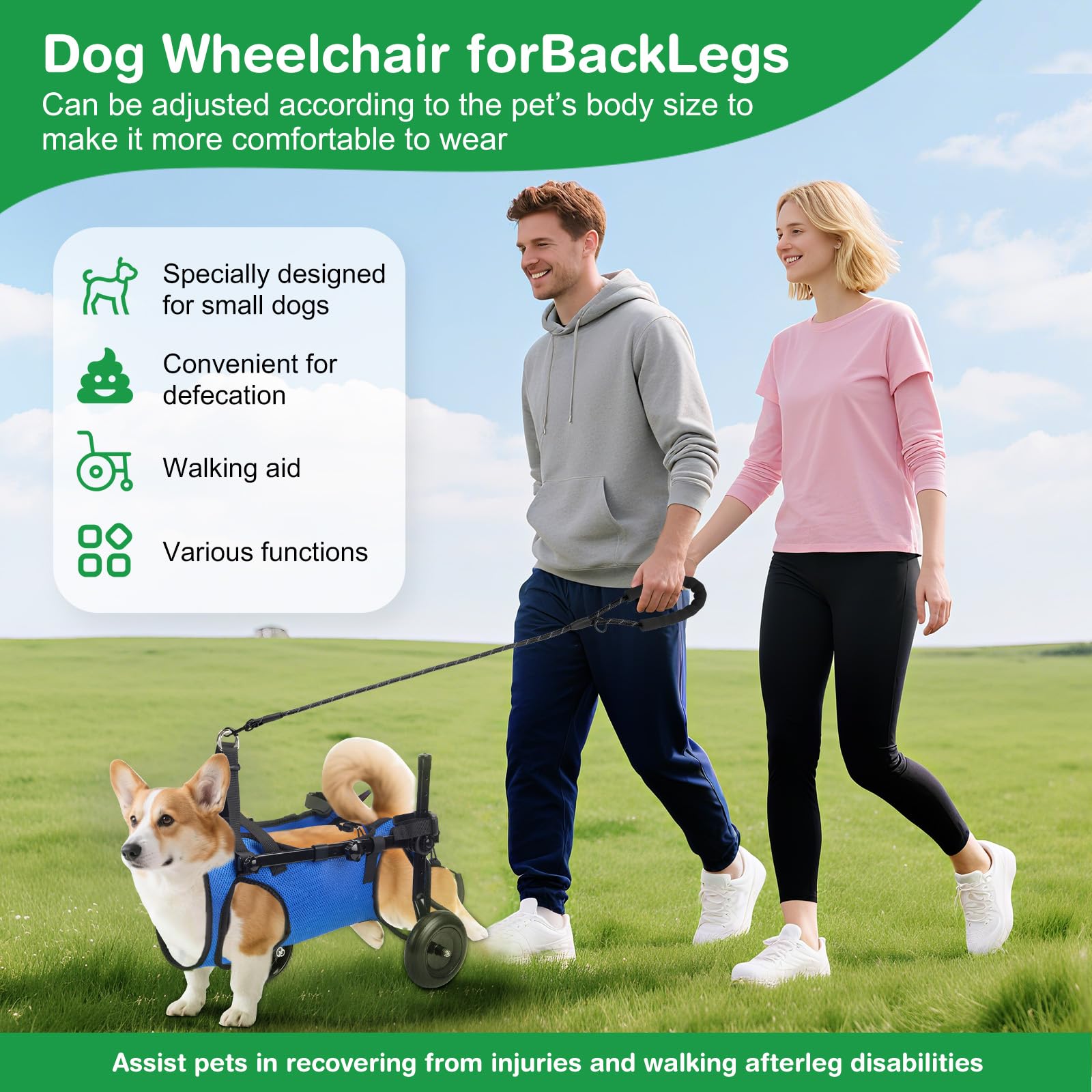 Fauteuil roulant réglable pour petits animaux de compagnie - Support de la jambe arrière pliable avec roues - Taille M - Aide à la mobilité pour pattes arrière paralysées (S)