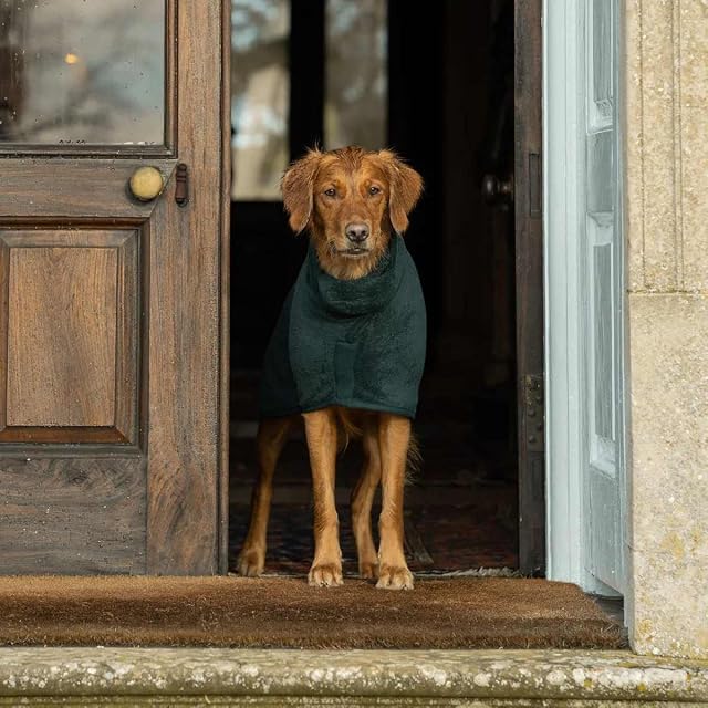 Foto 4 de 7 de Ruff and Tumble Abrigo de secado para perros - Colección clásica