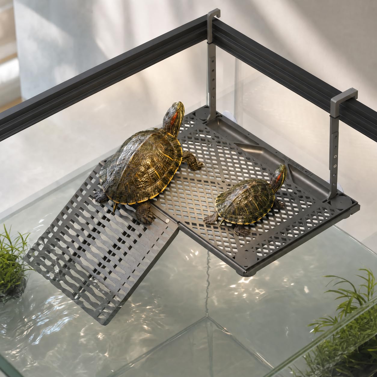 Large Adjustable Hanging Turtle Basking Platform with with Ramp, Upgraded
