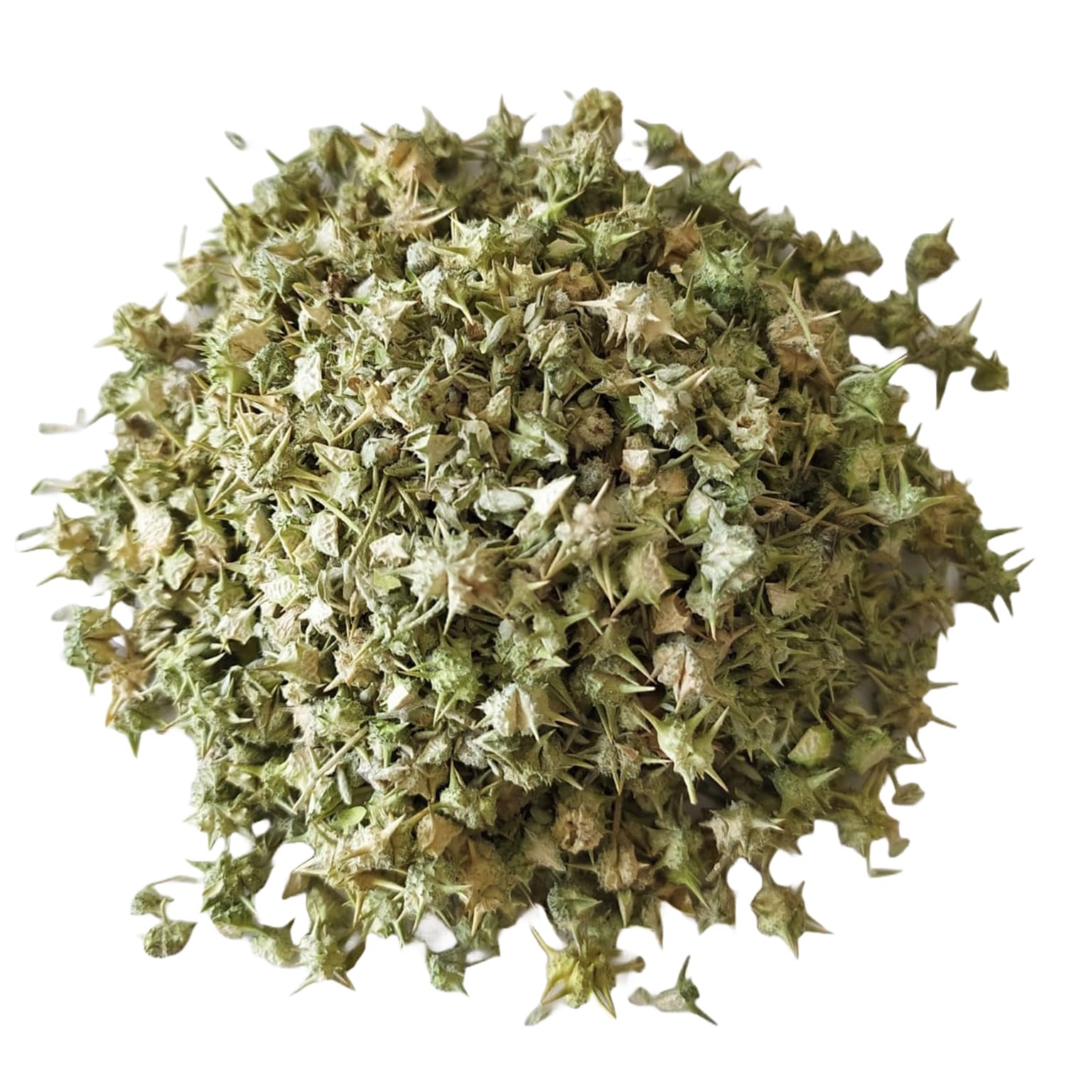 PHs 100% Natural Gokshura Gokhru 400 gm | Tribulus Terrestris Seeds | Chota gokhru (B0B5MVQF29) Amazon Price History, Amazon Price Tracker