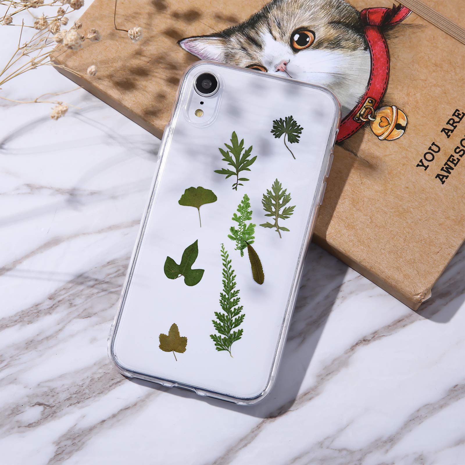 84 Hojas secas prensadas de Plantas de herbario pétalos Mezclados Hojas secas Naturales Reales para Manualidades de Resina DIY Pegatinas de uñas Adornos Decoraciones (A)