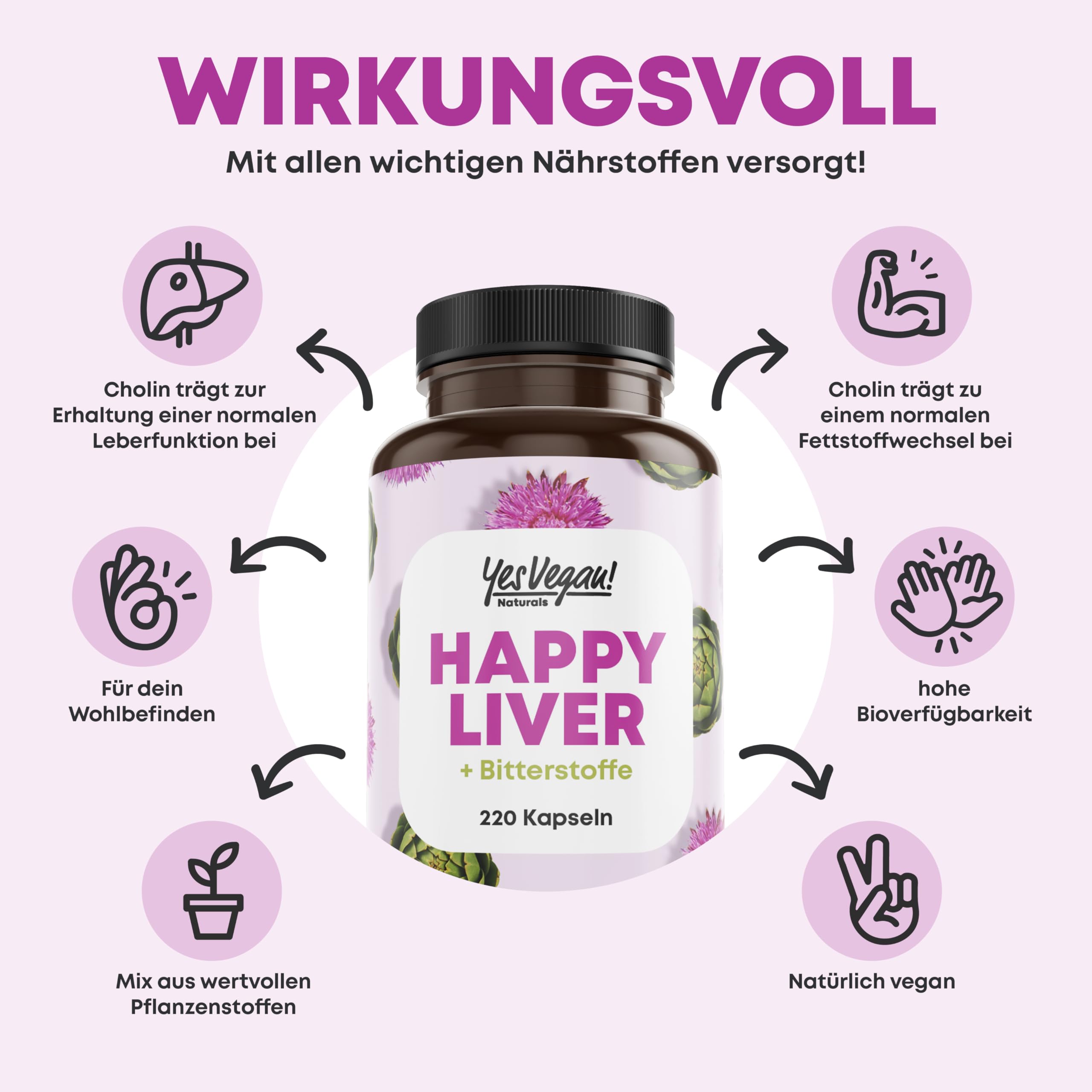 Mariendistel Artischocke Löwenzahn Cholin Komplex mit Bitterstoffen (220 Kapseln) Mariendistel Hochdosiert 80% Silymarin - mit Cholin für normale Leberfunktion