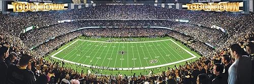 Vista 12 de Obras maestras NFL Estadio rompecabezas panorámica, 1000-Piece