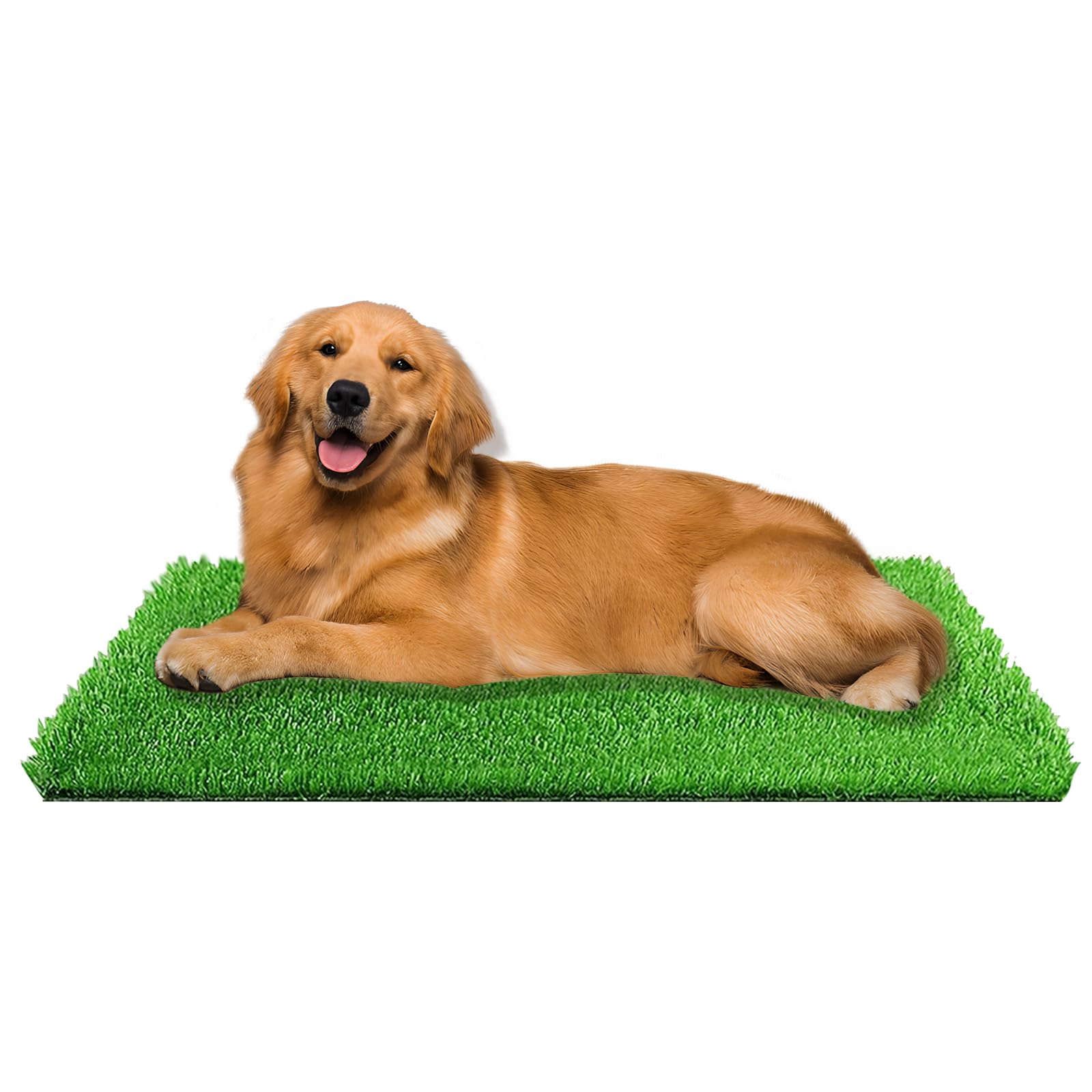 Yeqqzq Artificial Grass