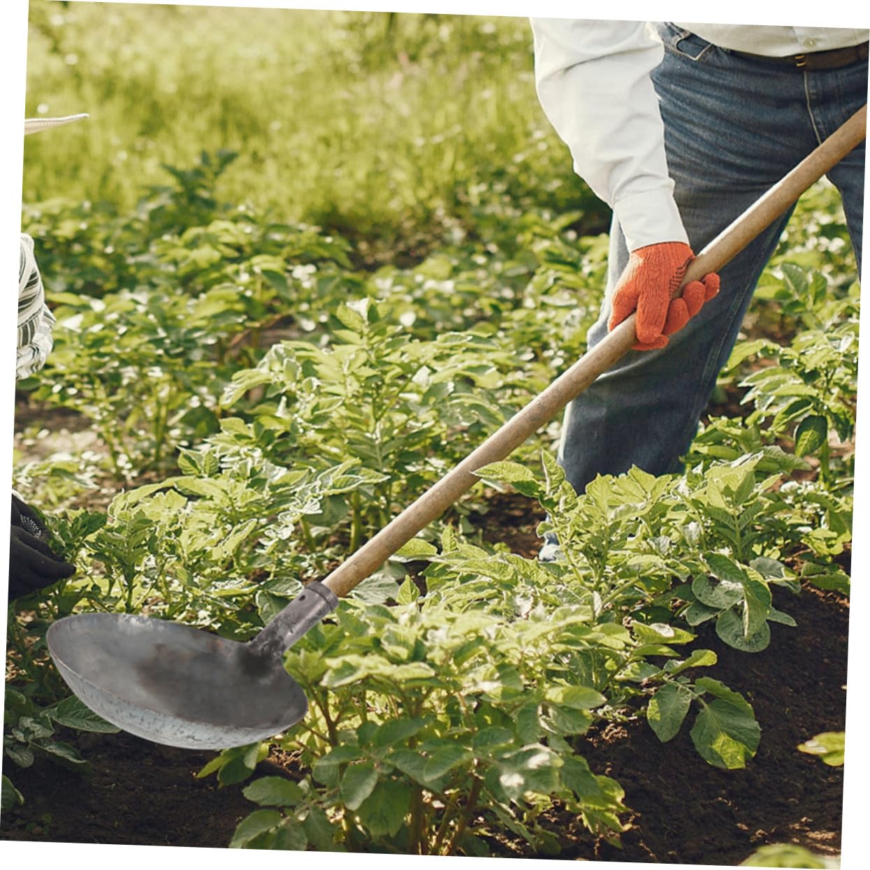 SOIMISS Pala Metálica Grande para Limpieza de y Estiércol Reutilizable con Diseño Tradicional para Obras Drenajes y Tareas de Jardinería y Construcción