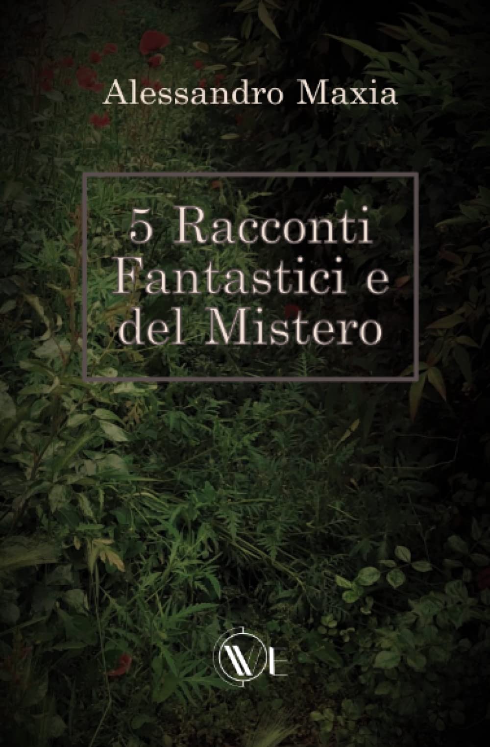 Nicola Bergamaschi5 Racconti Fantastici e del Mistero