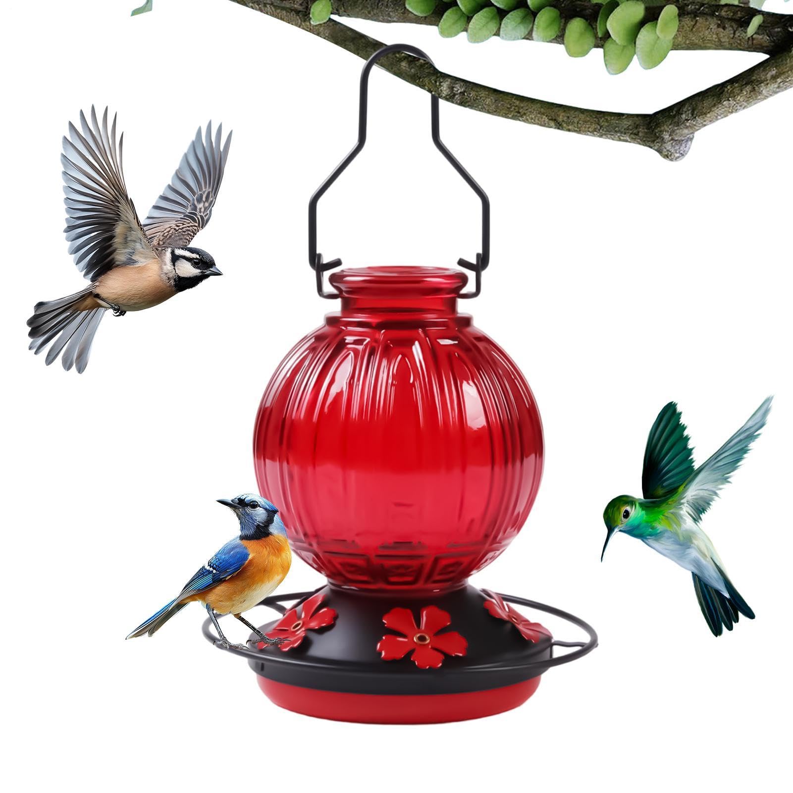 Mangeoire extérieure pour colibris avec perchoir suspendu pour cour et balcon