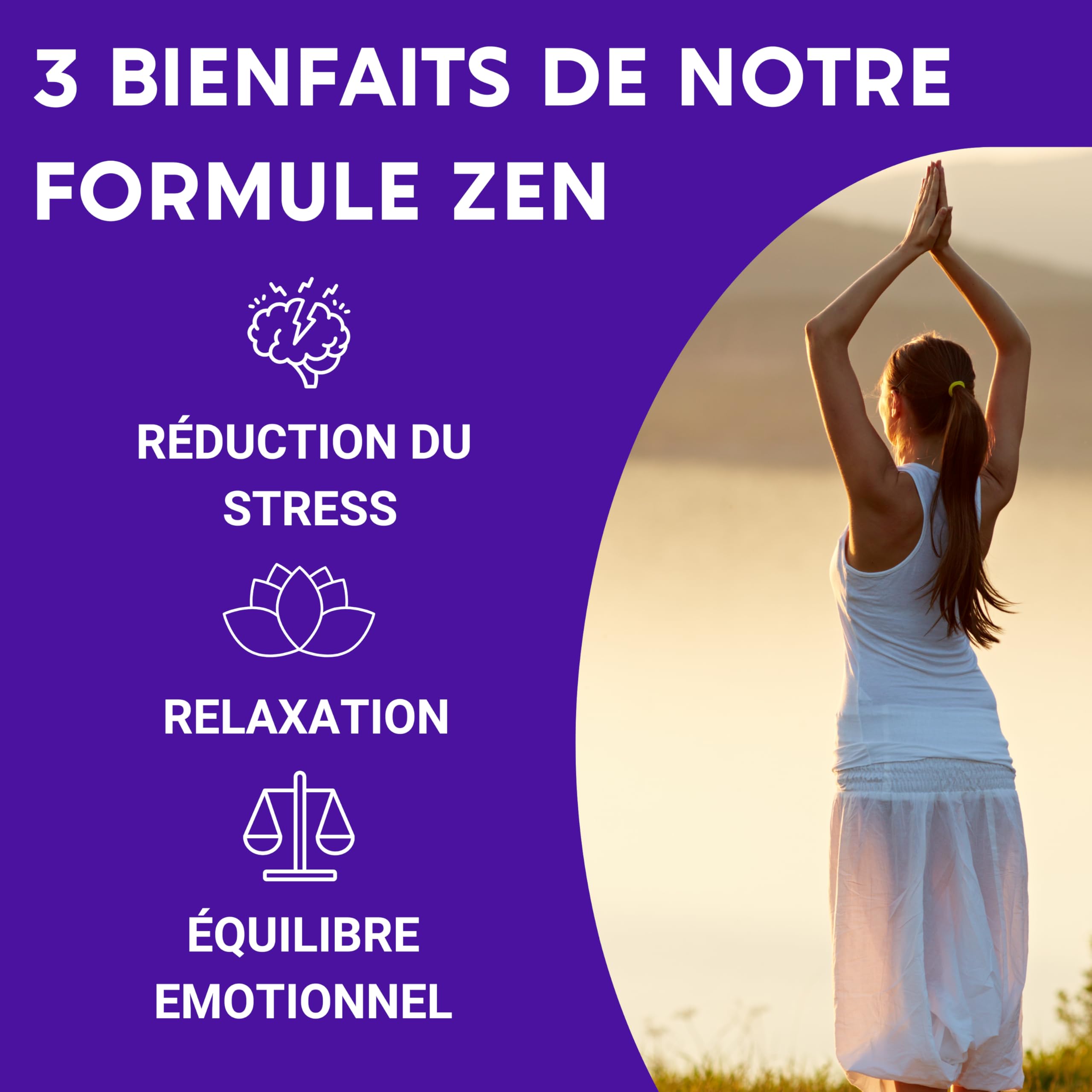 FORMULE ZEN | GABA, Griffonia, Millepertuis, Mélisse, Rhodiola, Vitamine B6 | Anti Stress Naturel | 30 jours de Relaxation | Complement alimentaire | Fabriqué en France
