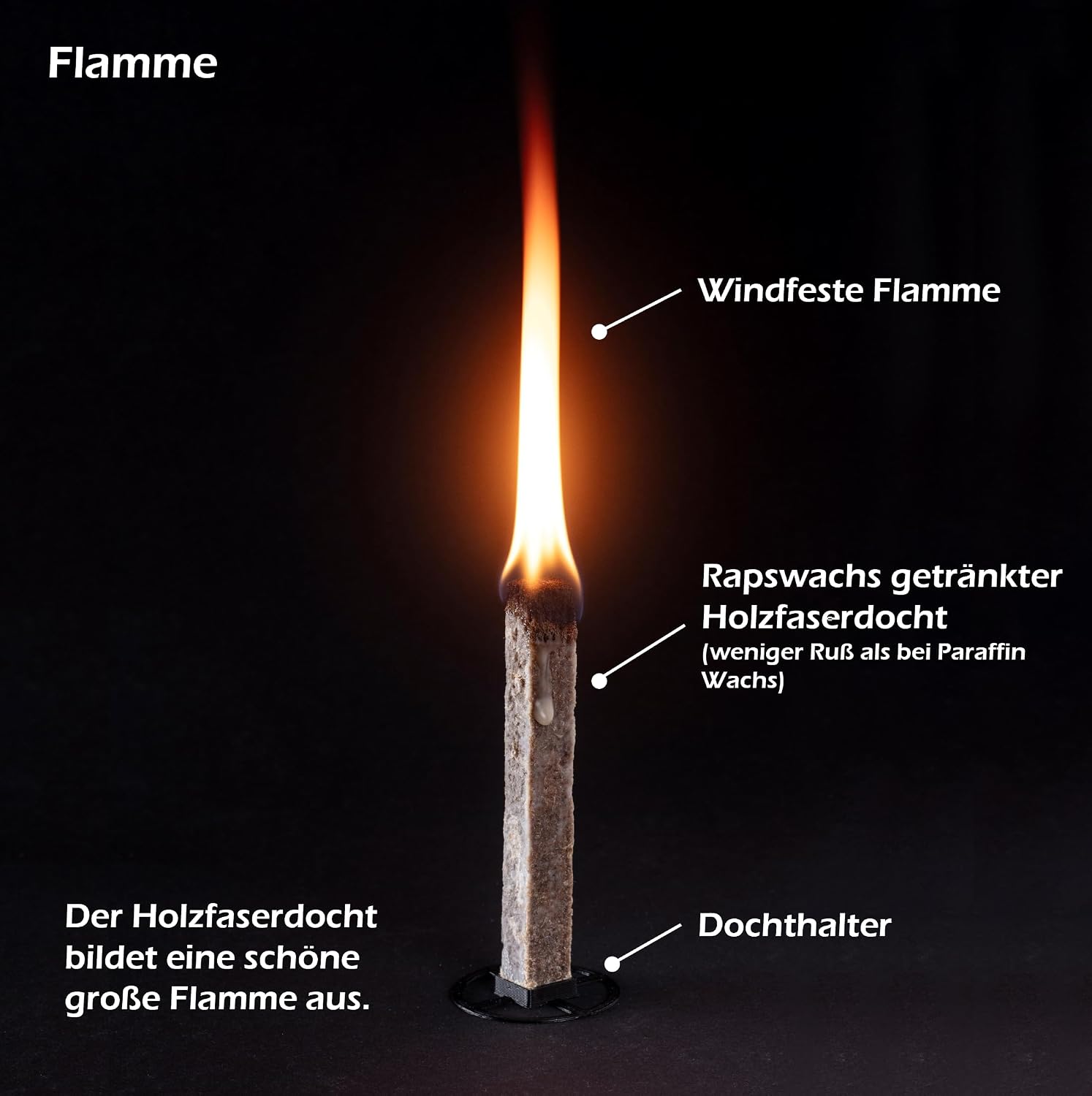 Flamestone 4x Dauerdocht für Wachsfresser inkl. Halter | nachhaltig in Deutschland hergest - Analyse des détails et conception