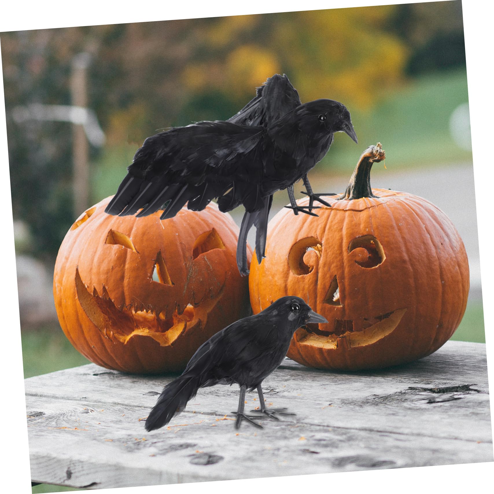 VICASKY 3 Stück Kreativer Halloween Vogeldeko Schwarz für Gartenparty und Wohnzimmerdeko