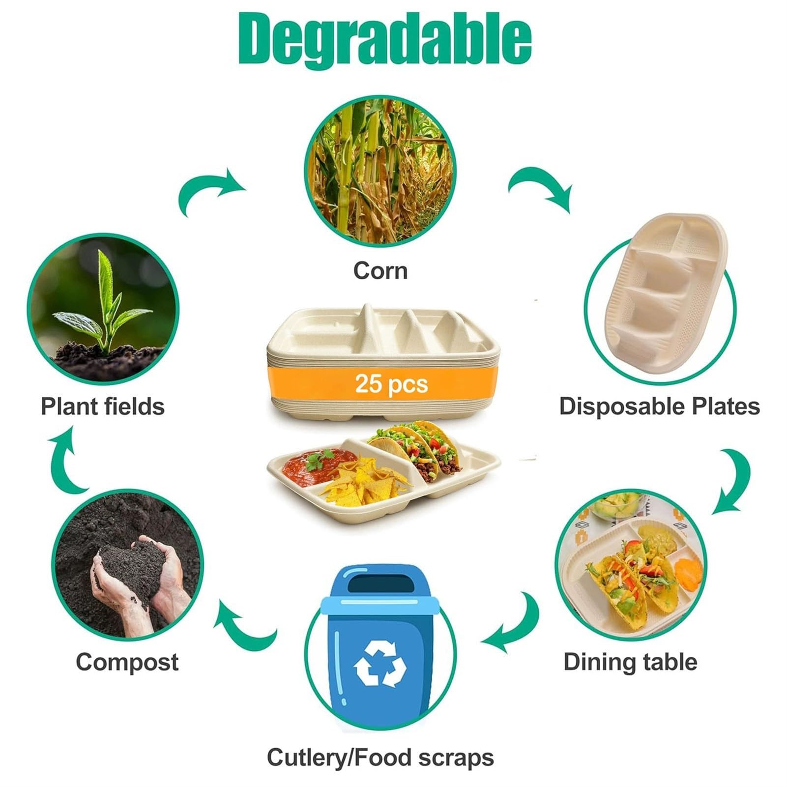 BOPIES Vassoi taco monouso compostabile fibra vegetale due scomparti | Vassoio anti-grasso microonde feste catering camion alimentare messicano(50pcs)
