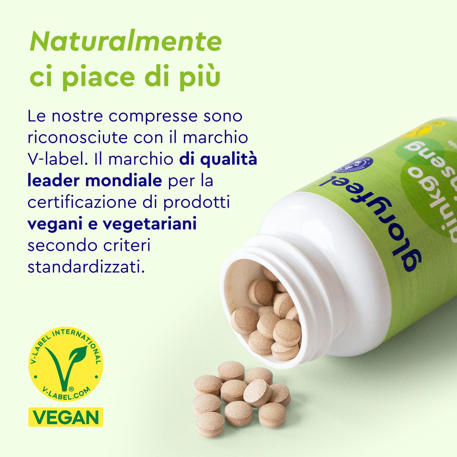 Ginkgo + Ginseng 365 Compresse - 24% Glicosidi Flavonici - Estratto di Panax Ginseng e Ginkgo Biloba (50:1) ad Alto Dosaggio - Scorta di 1 Anno - Testato in Laboratorio, Vegan e Senza Additivi