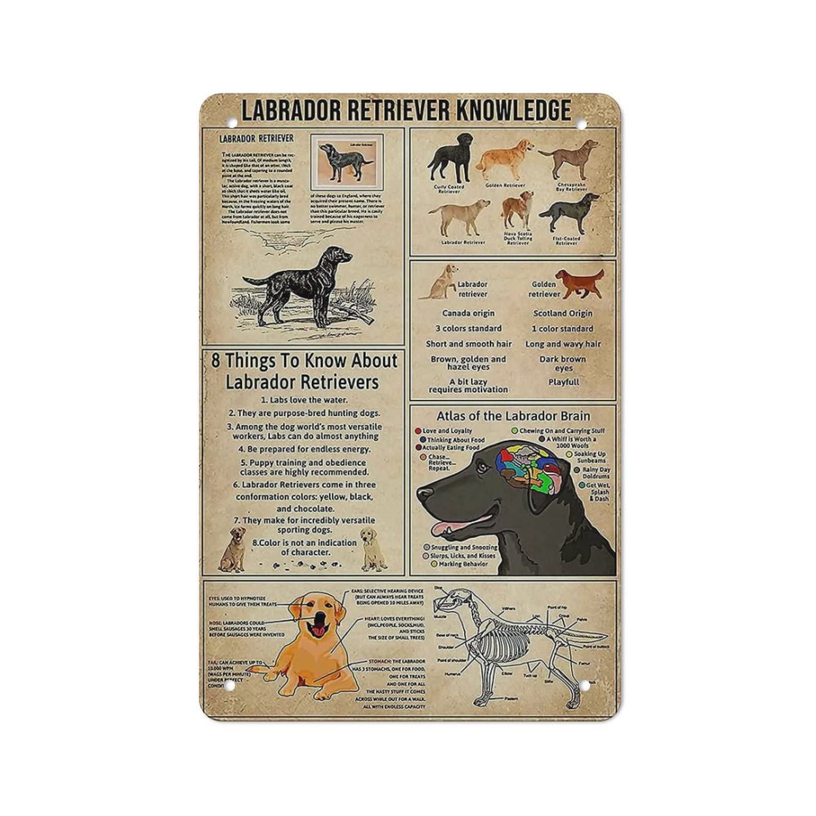 AOOEDM Labrador Retriever Knowledge Metal Sign for Home Coffee Garage Wall Decor Vintage Poster Bar Signs for Home Bar Retro Metal Tin Sign