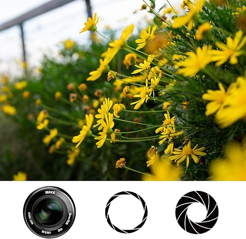Miniatura 5 de Meike Lente fija de 1.378 in f0.95 de gran apertura manual APS-C compatible con cámaras sin espejo Sony E-Mount NEX 3 3N NEX 5R NEX 6 7 A6600 A6400