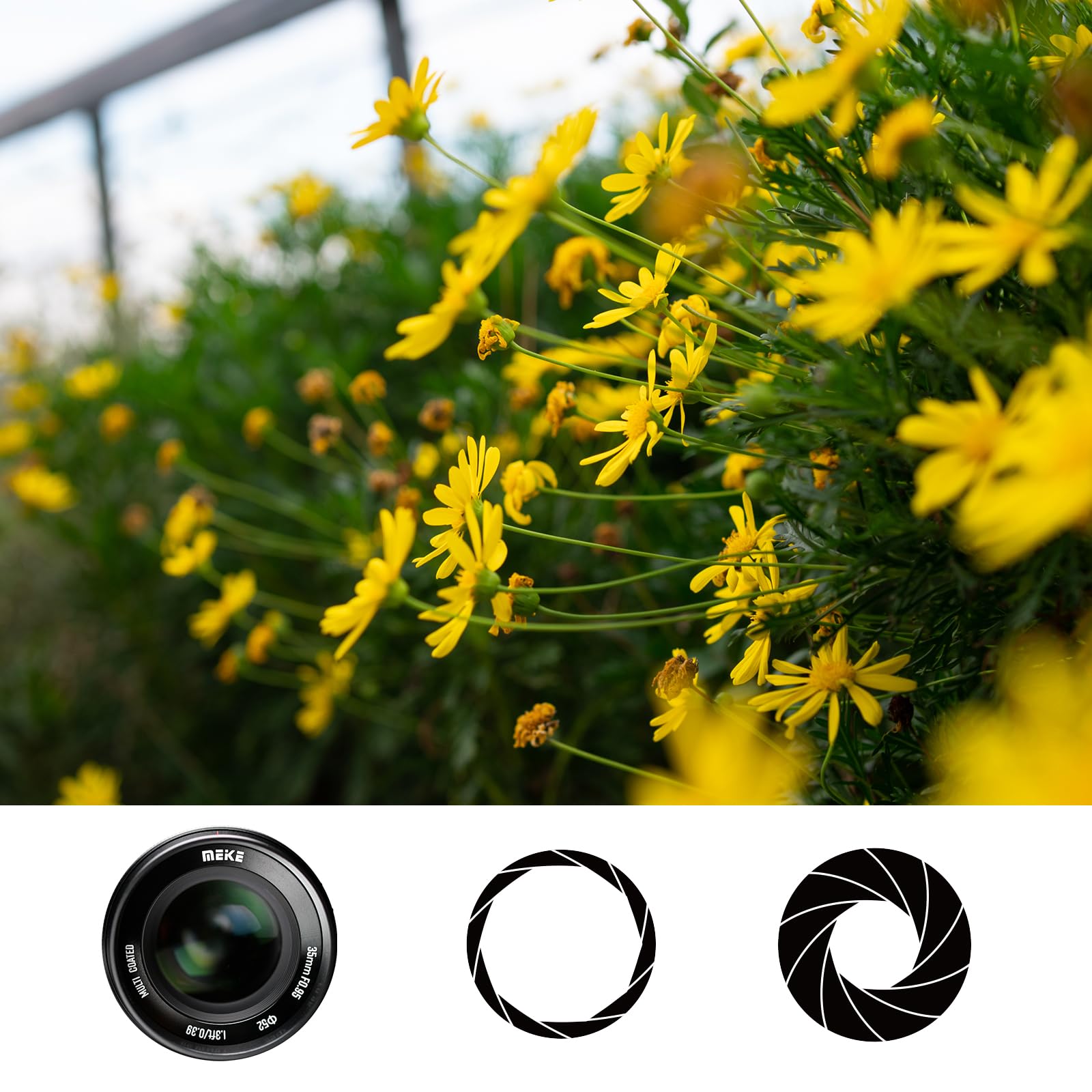 Meike 35mm f0.95 Grande apertura Messa a fuoco manuale Prime Obiettivo fisso APS-C Compatibile con fotocamere mirrorless Sony E-Mount A6400 A5100 A6100